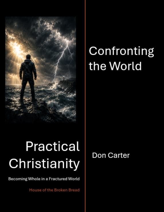 Cover of Confronting the World